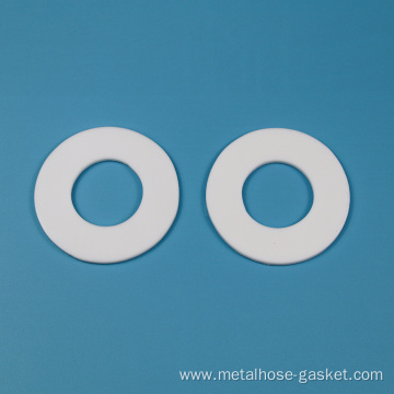 PTFE teflon sealing gasket SERIES B